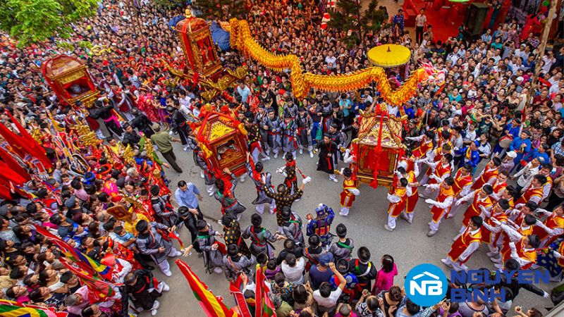 Sự giống và khác nhau giữa Festival và Concert